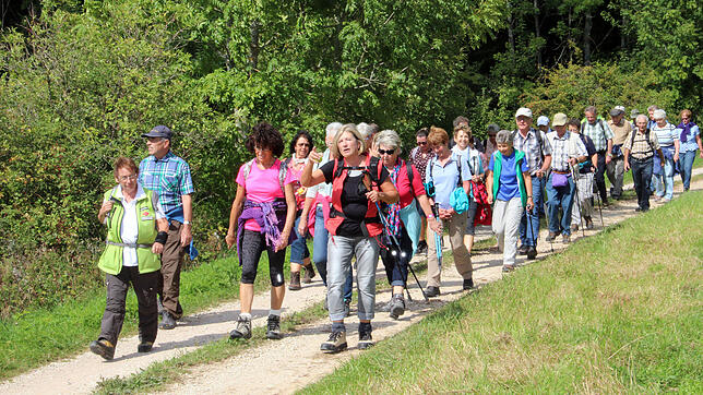 Die gemeinsame Wanderung von SÜDKURIER und Schwarzwaldverein ist beliebt, wie dieses Bild aus dem Vorjahr zeigt. Nach dem Berchenwald ...