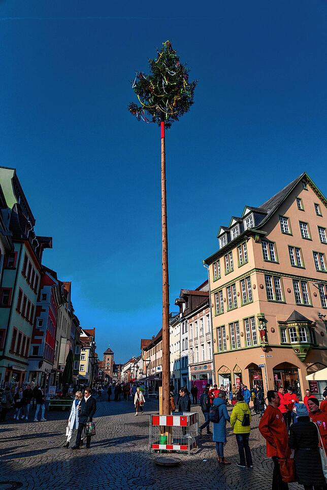 Nur noch wenige Minuten, dann ist er nach 50 Tagen Geschichte, der 22 Meter hohe Narrenbaum auf dem Marktplatz.