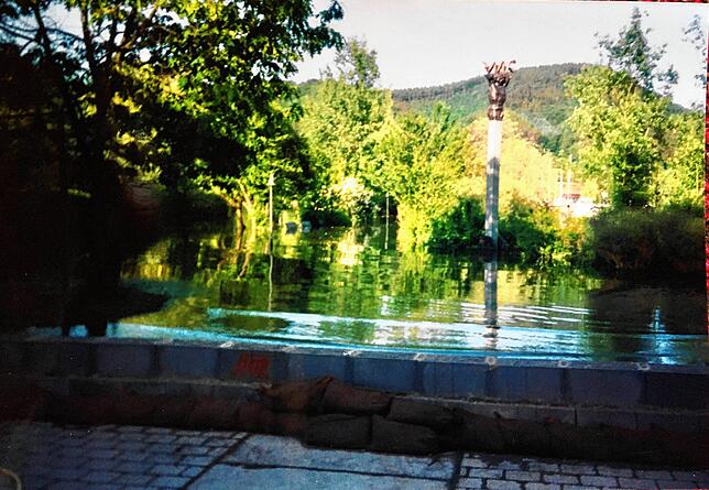 Ein Blick in Richtung Schlösslepark in Ludwigshafen zeigt 1999 die Flächen unter Wasser. Vorne sind die Schutzmauer und Sandsäcke zur ...