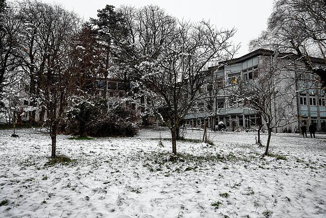 Die Mirabellenwiese zwischen Krankenhaus und Versorgungsamt auf der Mettnau soll auch mit dem Segen des Stiftungsrates an einen Investor ...