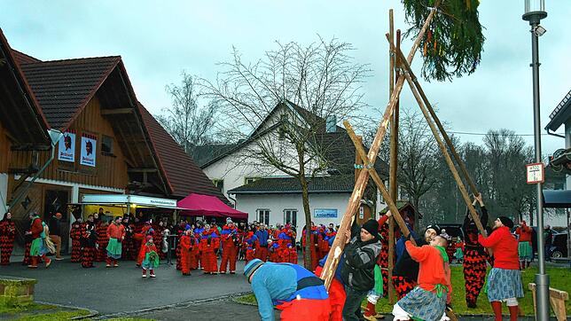Mit vereinten Kräften wird von den Mitgliedern der Narrenzunft, Deifelzunft und Lehr-Hexen am Dreikönigstag bei der Kulturfabrik der ...