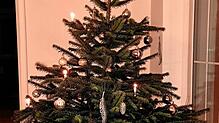 Die Tage des Christbaums 2024/25 sind gezählt.