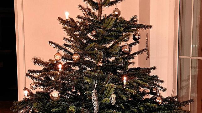 Die Tage des Christbaums 2024/25 sind gezählt.