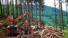 1999: Ein trostloser Anblick: der Wald nach dem Sturm. Das Bild zeigt eine belgische Forstfirma beim Aufarbeiten des Sturmholzes.