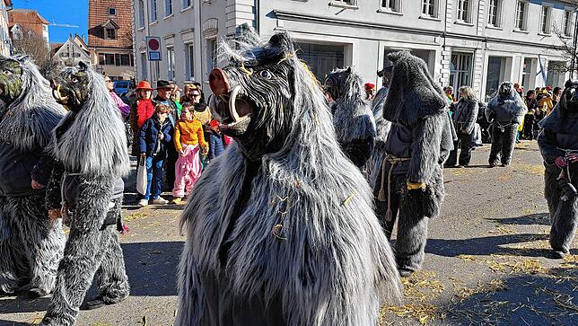 Bild 21: Fasnet 2025: Die schönsten Bilder vom Umzug in Hüfingen