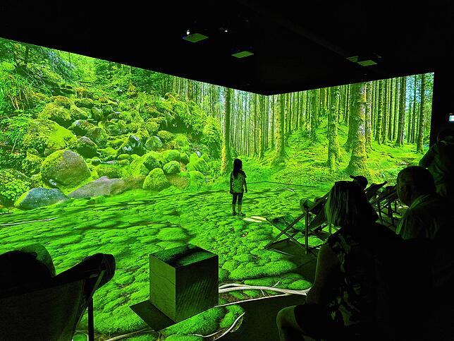 Auszeit im Schwarzwaldpavillon: Der Ruhebereich entführt per 3-D-Video-Installation unberührte tiefe Schwarzwaldnatur.