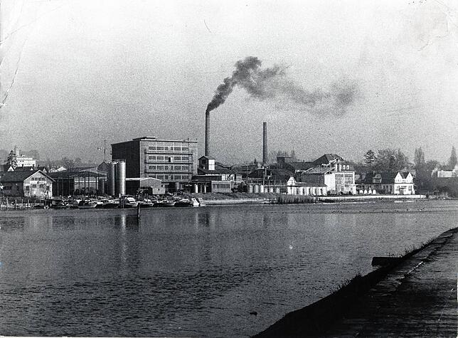 Diese Aufnahme aus dem 1980er Jahren von der rechtsrheinischen Seite, wo Unternehmen wie Herosé oder auch Degussa ihren Sitz hatten.