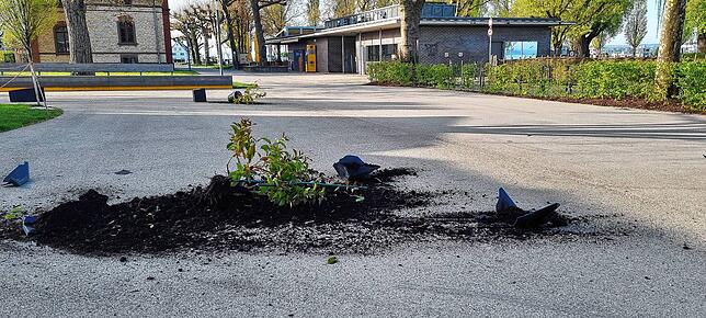 Vor der Pizzeria wurden zwei Pflanztöpfe komplett zerstört und der Inhalt auf dem Vorplatz verteilt.