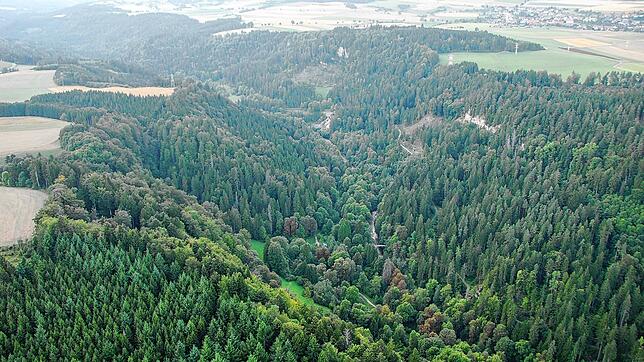 Die Hänge der Wutachschlucht sind rutschgefährdet (Archivbild). Das Gebiet entlang der L170 zwischen dem Knoten K6516/L170 und der ...