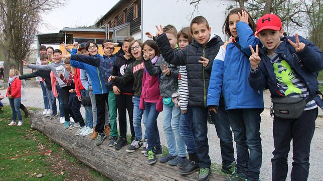 Die Diabetikerfreizeit für Kinder im Markelfinger Naturfreundehaus startete mit einer Spaßolympiade. Ohne vom Baumstamm herunter zu ...
