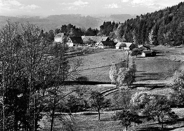 Bild 26: Bilder vom Festakt zu 60 Jahre Camphill Dorfgemeinschaft Deggenhausertal