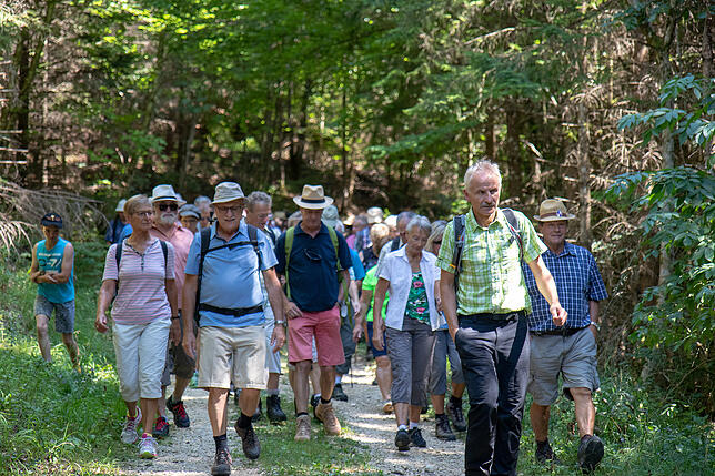 Große Teile der Wanderstrecke führten durch schattige Laubwälder.