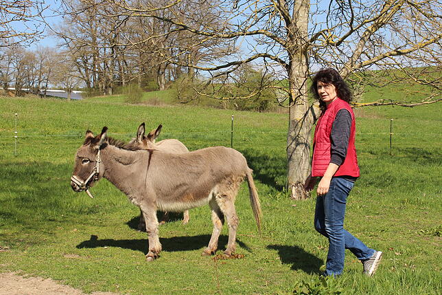 Beate Riebsamen mit den Eseln.