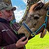 Markus Schmidt und Ponystute Roxy sind seit dem ersten Tag gute Freude.