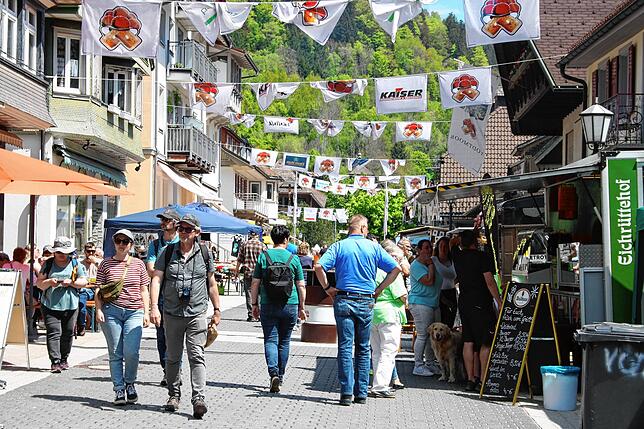 Bild 5: Bilder vom Lebküchlermarkt TodtmoVon