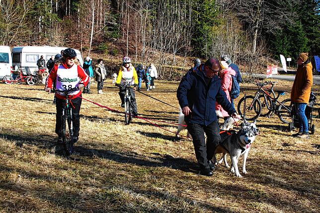 Bild 3: Die Bilder vom Huskywochenende in Todtmoos