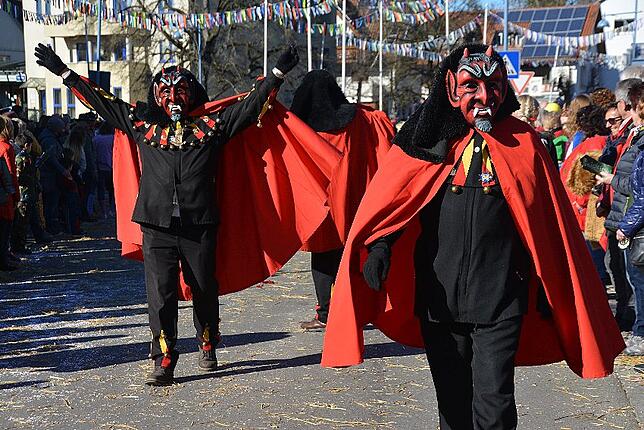 Bild 24: Bilder vom Narrentreffen der Urviecher-Zunft Bad Dürrheim: Großer Festumzug (2)