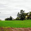 Hier am Stadtrand von Stockach in Richtung Zoznegg sollen im Gebiet Oberer Schwärzbach künftig weitere Häuser gebaut werden.