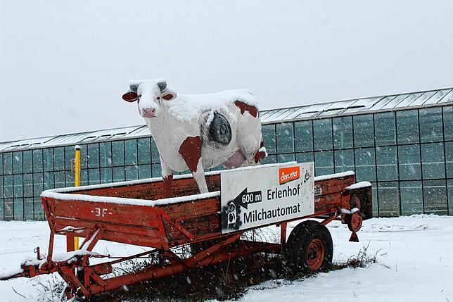 Bild 28: Schnee wohin das Auge reicht! So sieht es gerade im Raum Stockach aus