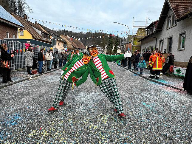 Bild 25: Spaß beim VHN-Narrentreffen: Bilder vom Umzug (1)