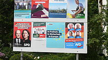 Wie viele Wahlplakate verträgt Tengen? Bei der Wahl im Juni 2024 hingen an dieser Anschlagwand in Steißlingen gleich acht Plakate. ...