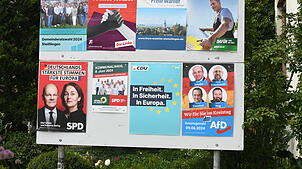 Wie viele Wahlplakate verträgt Tengen? Bei der Wahl im Juni 2024 hingen an dieser Anschlagwand in Steißlingen gleich acht Plakate. ...
