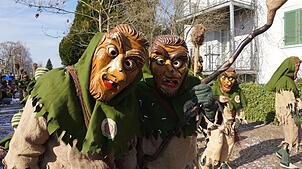 Bild : 43. Küssaberger Narrentreffen: Märchenhafte Fasnacht in Rheinheim