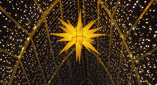 Die Lichtinstallationen im Christmas Garden auf der Insel Mainau können ab Freitag, 22. Dezember, wieder bewundert werden.