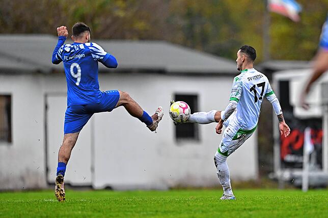 Bild 34: FC Hauingen besiegt den SV Herten mit 4:1 – und wir haben Bilder!