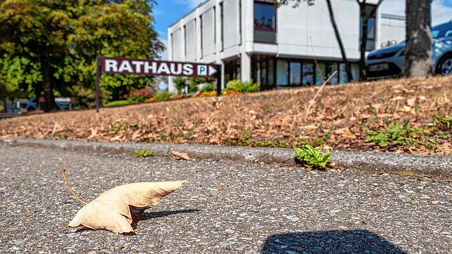 Beim Gang ins Rathaus (hier in Lauchringen) gewinnt der Bürger einen ersten sinnlichen Eindruck von politischem Leben.