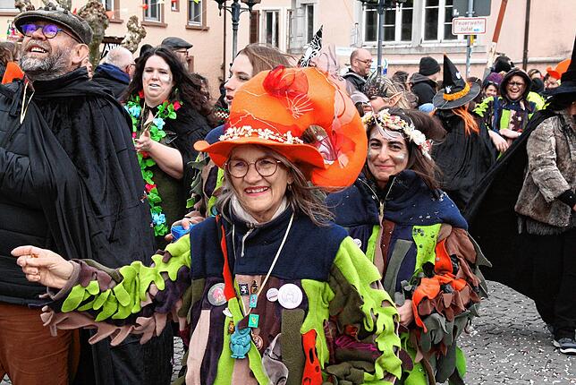Bild 17: Bilder vom Fasnachtsumzug in Laufenburg
