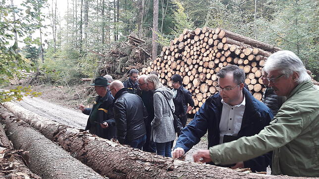 Der Rotzler Ortsvorsteher Manfred Ebner (rechts) und der Laufenburger Bürgermeister Ulrich Krieger betrachten im Allmendwald bei der ...