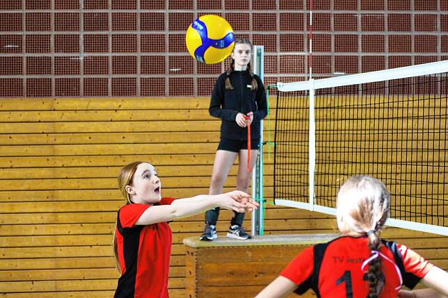 Bild 6: U14-Volleyballerinnen qualifizieren sich für baden-württembergische Meisterschaften