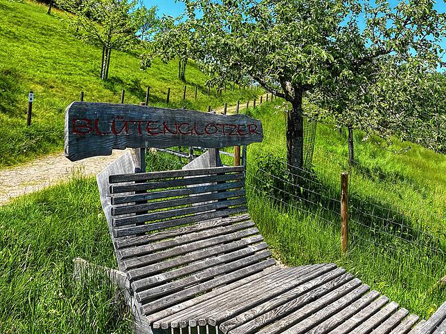 Streuobstwiese mit Blütenglotzer Unterkirnach