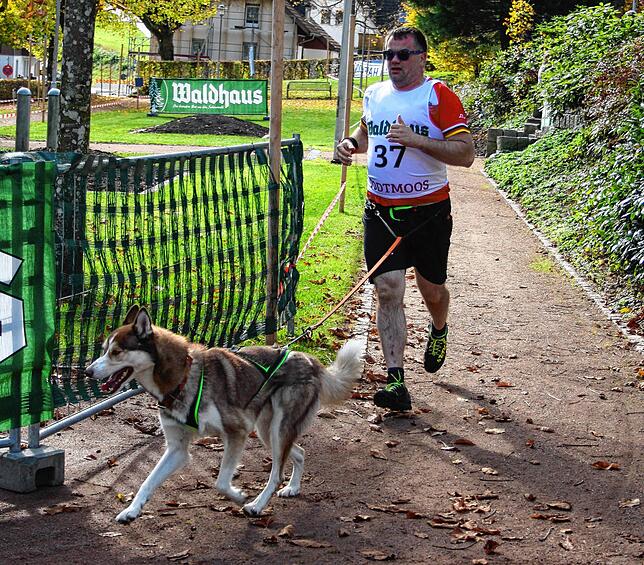 Beim Cani-Run ist vor allem beim Jogger Kondition gefragt.