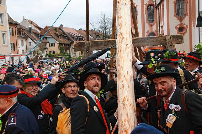 Bild 21: So schön ist der Wäldertag in Bad Säckingen (2)
