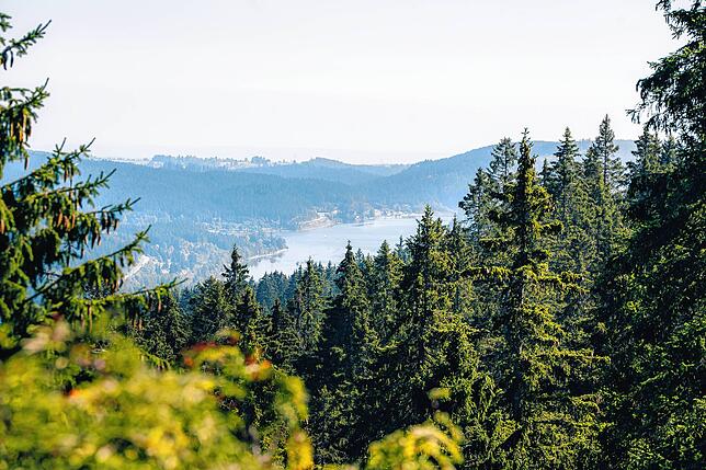 Weit sehen lässt sich vom Feldberg aus. Hier der Zweiseenblick auf Schluchsee und Titisee.