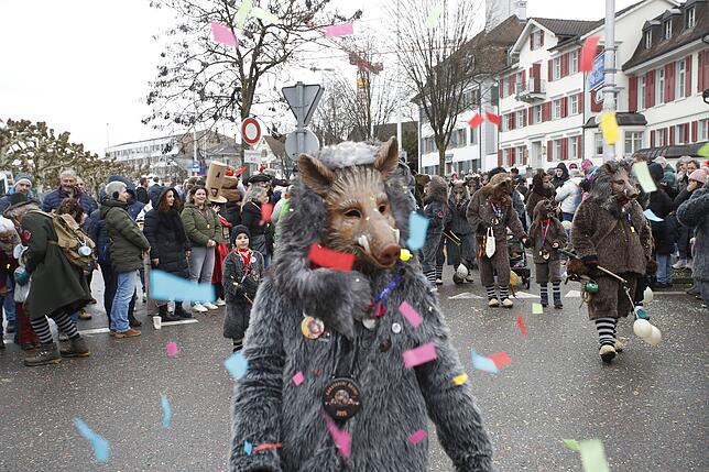 Bild 27: Närrischer Ausnahmezustand: Fasnachtsumzug 2025 begeistert Kreuzlingen – die besten Bilder!