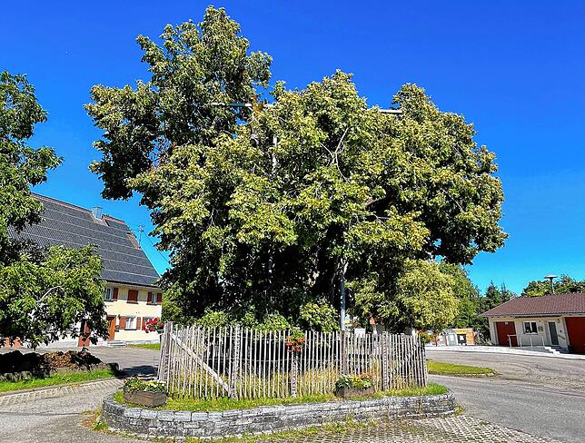 Bild 1: So lebt es sich in  Owingen: Streifzug durch die Gemeinde