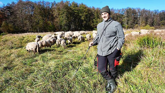 Hat ihre Schäfchen wieder alle beisammen: Schäferin Elischa Serpi. Die Tiere waren in der Nacht zum Mittwoch ausgebüxt und bis zur ...