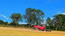 Die Landwirtschaft hat in der Region einen deutlich geringeren Anteil am Gesamtumsatz als andere Wirtschaftsbereiche.