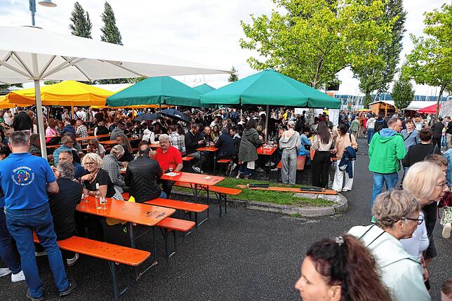 Bild 39: Reichenauer Weinfest 2025 auf der Insel: So beginnt die 44. Ausgabe der Traditionsveranstaltung
