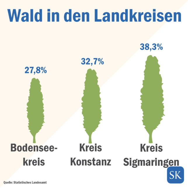 Bild 1: Fakten-Freitag: Wo in der Region gibt es den meisten Wald?