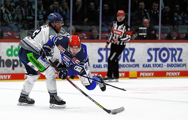 Bild 20: Unsere Bildergalerie vom sechsten Viertelfinalspiel der Wild Wings gegen die Straubing Tigers