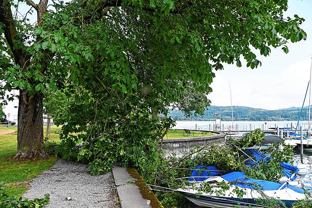 Bild 33: Bilder von den Einsätzen und massiven Schäden nach dem Unwetter in Bodman-Ludwigshafen