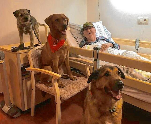 Besuchshunde schenken Freude am Krankenbett, hier sind Boba, Liam und Feivel im Emilienpark in Grenzach zu Besuch.