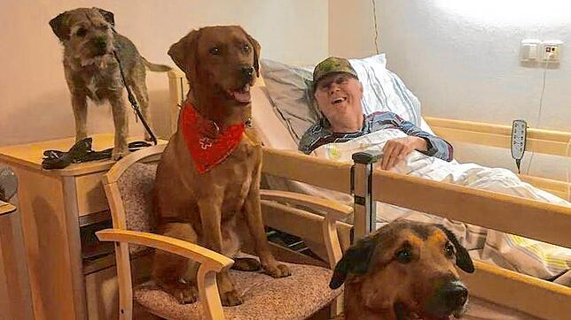 Besuchshunde schenken Freude am Krankenbett, hier sind Boba, Liam und Feivel im Emilienpark in Grenzach zu Besuch.