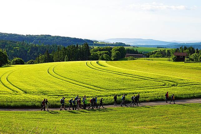 Bild 4: 180 Teilnehmer beim 42-Kilometer-Wandermarathon: Das sind die Bilder