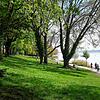 Unterhalb der Konzertmuschel auf der Mettnau: Vorsicht beim Einstieg ins Wasser &ndash; Baden ist nach den Statuten der Stadt dort verboten.
