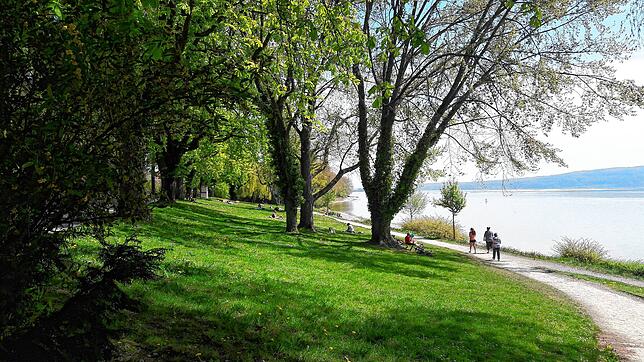 Unterhalb der Konzertmuschel auf der Mettnau: Vorsicht beim Einstieg ins Wasser &ndash; Baden ist nach den Statuten der Stadt dort verboten.